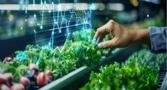 ردپای فناوری در تامین امنیت غذایی