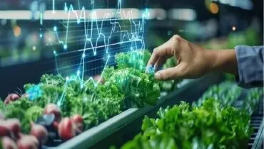 ردپای فناوری در تامین امنیت غذایی