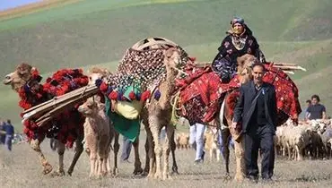 طرح ملی بررسی تغذیه عشایر در ۱۳ استان در حال اجراست
