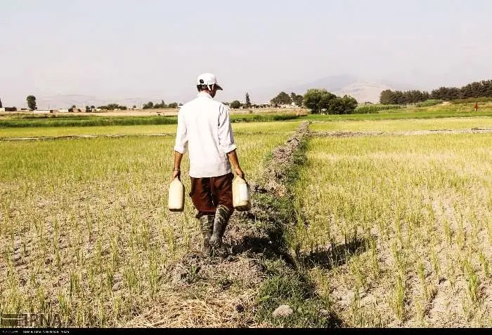 کشاورزی، قربانی مدیریت ناکارآمد