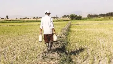 کشاورزی، قربانی مدیریت ناکارآمد