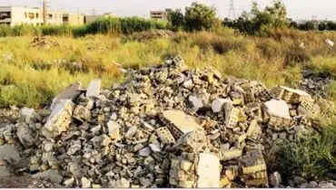 زخم‌های خاموش در دل طبیعت