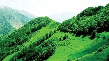 چابک‌سازی؛ نسخه‌ای برای فرار از مسئولیت‌ها