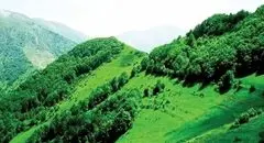 چابک‌سازی؛ نسخه‌ای برای فرار از مسئولیت‌ها