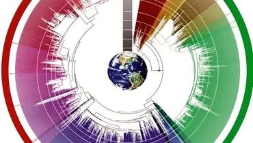 خساست آماری در محیط‌زیست