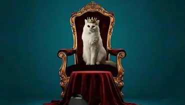 رونمایی از برند و ۱۶ محصول جدید شایر با حضور مدیرعامل