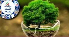 تنها ۳۰ درصد از احکام محیط‌زیستی برنامه محقق شد