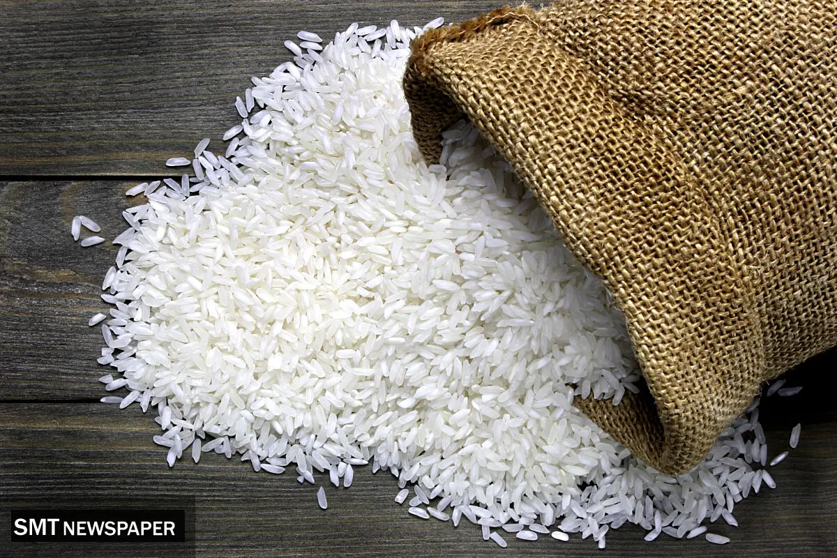 قیمت برنج قد کشید | هر کیلو فقط ۲۰۰ هزار تومان!
