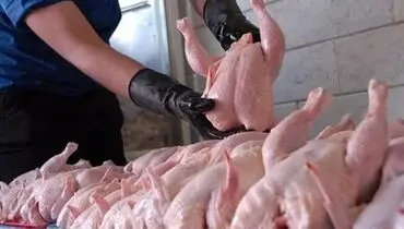 واردات گوشت مرغ از اوراسیا آزاد شد؛ مجوز رسمی برای تنظیم بازار صادر شد