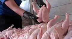 مرغ دولتی، اما با قیمت لاکچری!