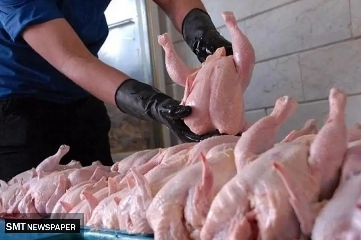 قیمت گوشت مرغ امروز یکشنبه ۱۴ دی ۱۴۰۴ + جدول