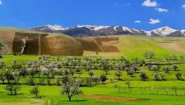 تکرار یک اشتباه، مرگ چشمه پناه
