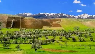 تکرار یک اشتباه، مرگ چشمه پناه