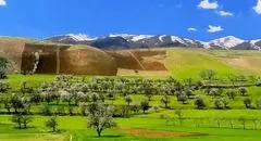 تکرار یک اشتباه، مرگ چشمه پناه