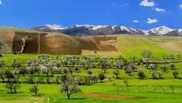تکرار یک اشتباه، مرگ چشمه پناه