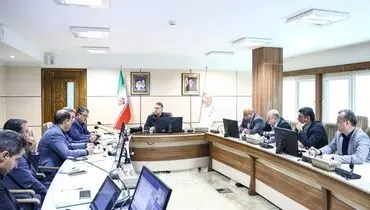 در جلسه شورای معاونان شرکت ملی صنایع مس ایران اعلام شد
