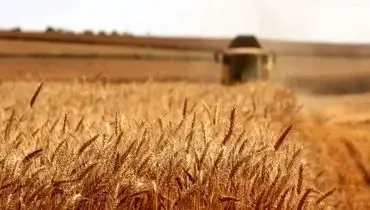 اصلاح قیمت خرید تضمینی گندم به کجا رسید؟