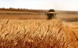 اصلاح قیمت خرید تضمینی گندم به کجا رسید؟