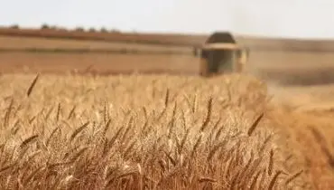 اصلاح قیمت خرید تضمینی گندم به کجا رسید؟