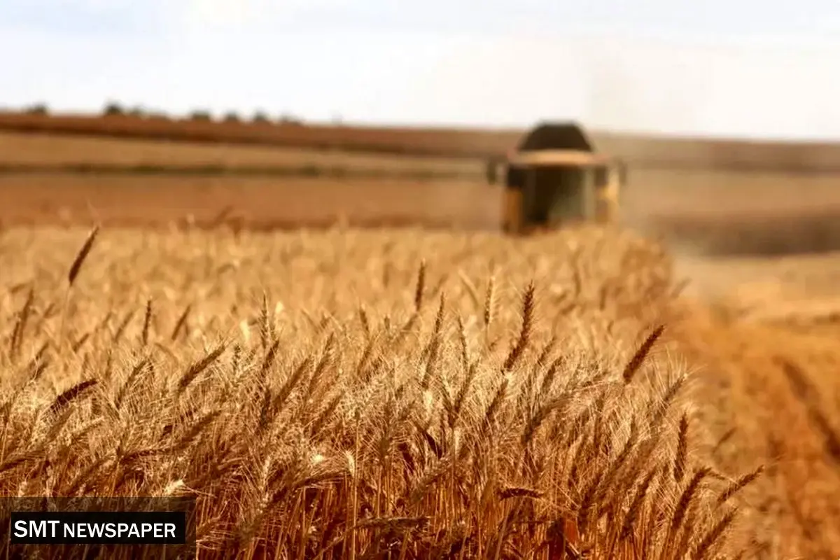 اصلاح قیمت خرید تضمینی گندم به کجا رسید؟