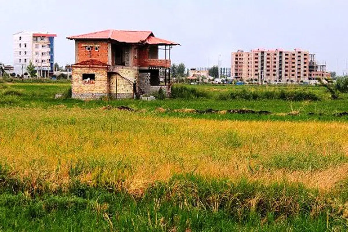 تغییر کاربری علت مرگ کشاورزی