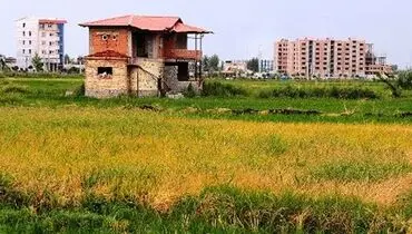 تغییر کاربری علت مرگ کشاورزی