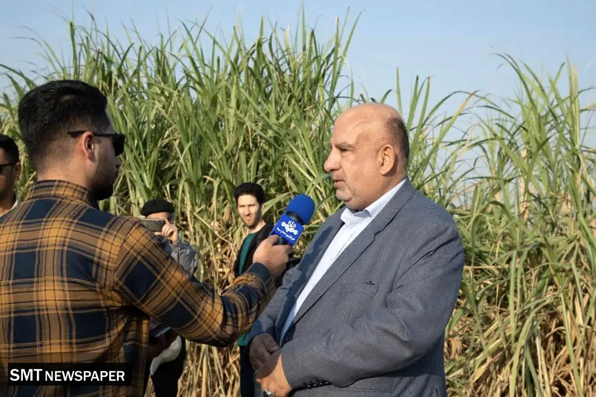 پیشبینی تولید بیش از ۷۰۰ هزار تن شکر