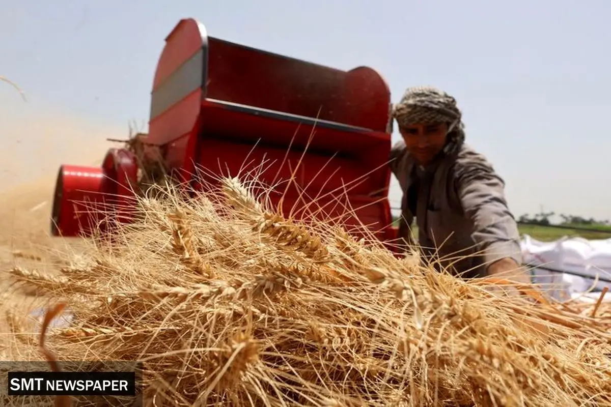همکاری با انرژی اتمی برای کاهش باقی مانده سموم محصولات کشاورزی !