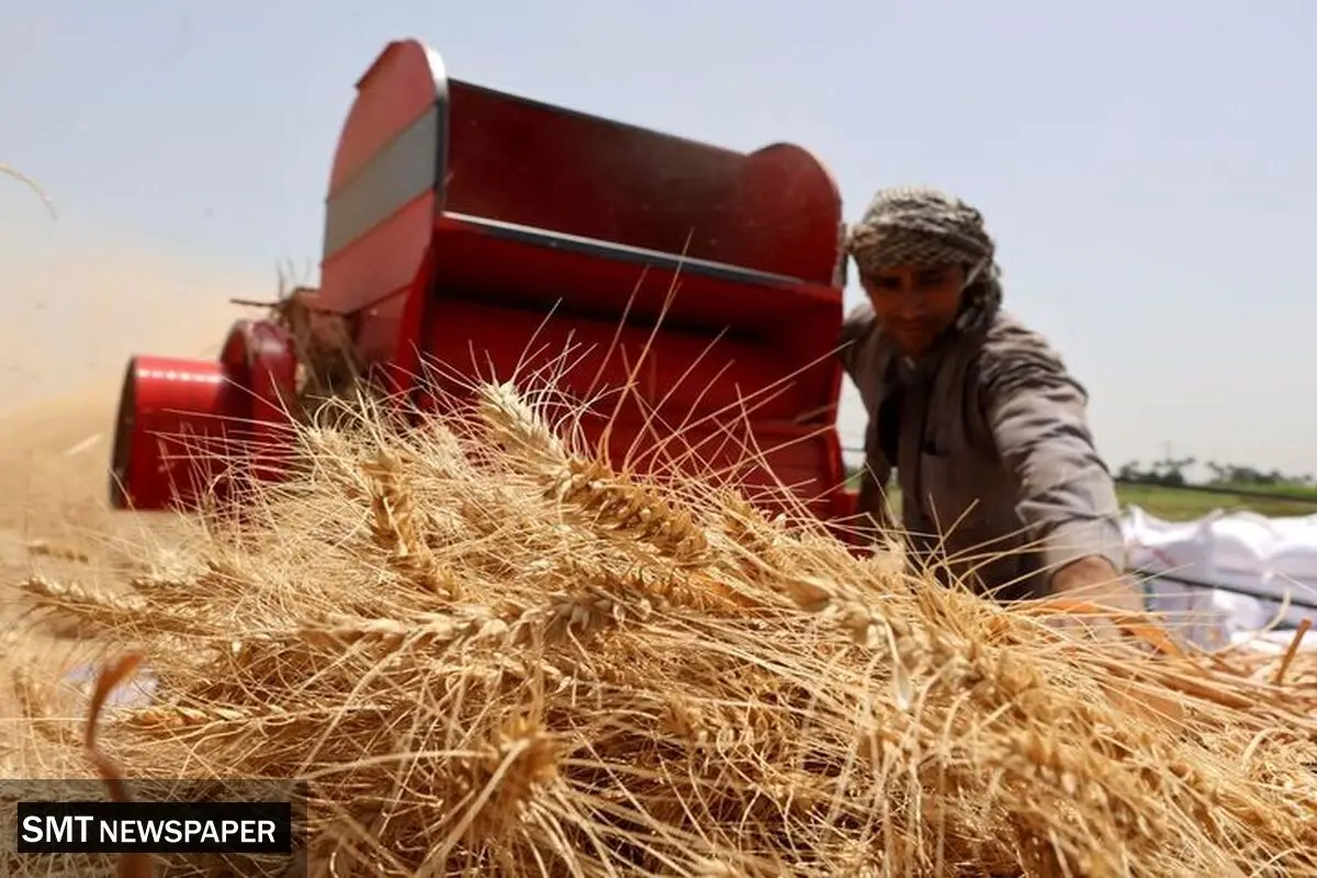 همکاری با انرژی اتمی برای کاهش باقی مانده سموم محصولات کشاورزی !