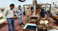 قانون مبارزه با قاچاق کالا و ارز