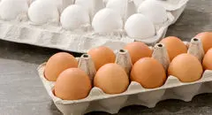 قیمت هر شانه تخم مرغ امروز ۱۲ مهر ۱۴۰۴ + جدول