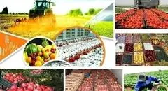 تامین مواد اولیه، مشکل احتمالی واحدهای تولیدی