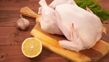بازار مرغ زیر فشار گرانی