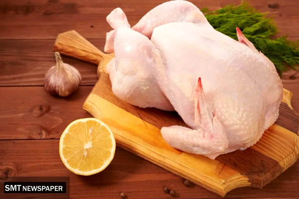 لیست قیمت گوشت مرغ در بازار امروز شنبه ۲۴ آبان ۱۴۰۴ 