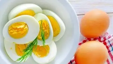 تخم مرغ محلی رکورد زد؛ امروز چهارشنبه ۲۶ شهریور ۱۴۰۴