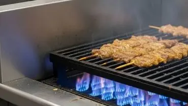 لزوم حضور پررنگ ایران در بازار جهانی غذا؛ تأکید بر ارتقای کیفیت و توسعه صادرات