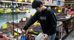 خرمای مضافتی بم کیلویی ۳۱۰ هزار تومان شد