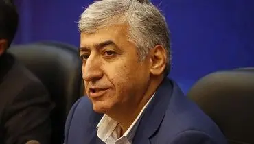 تشکیل سازمان گردشگری، فربه‌سازی دولت است