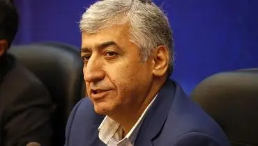 تشکیل سازمان گردشگری، فربه‌سازی دولت است