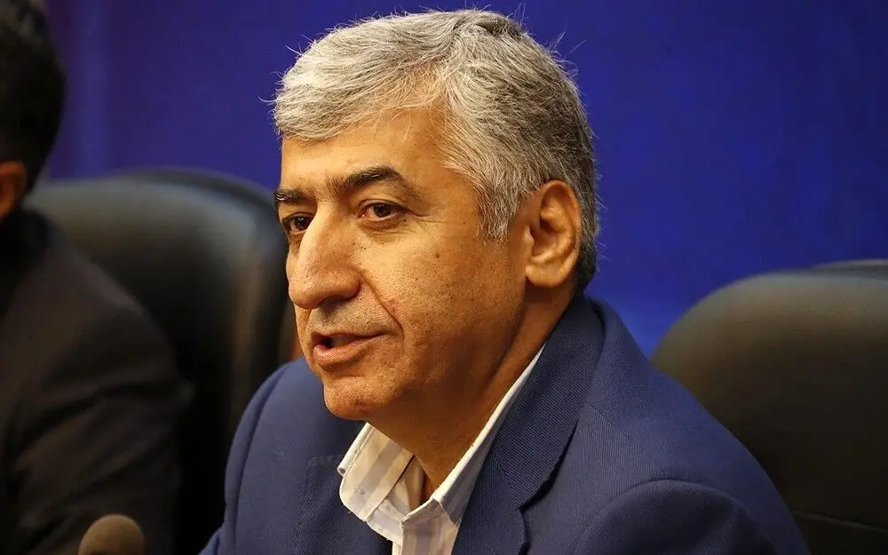 تشکیل سازمان گردشگری، فربه‌سازی دولت است