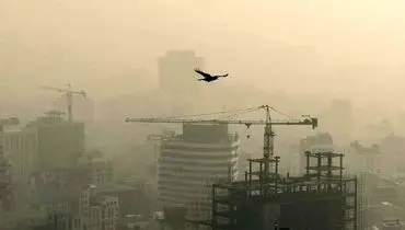 آلودگی هوا برای بانوان مضرتز از مردان است