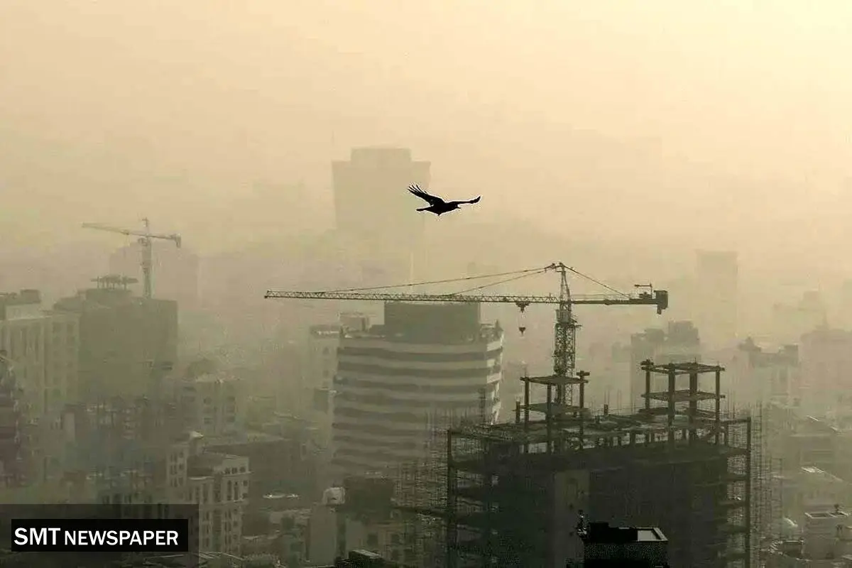 آلودگی هوا برای بانوان مضرتز از مردان است