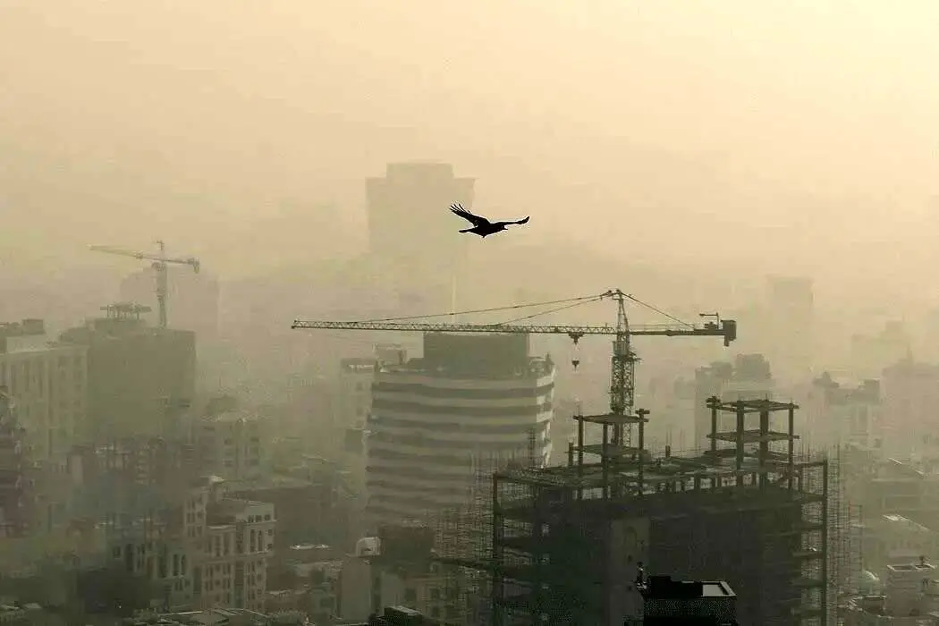 آلودگی هوا برای بانوان مضرتز از مردان است