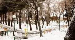 بارش‌ها برای جنوب البرز کافی نبود