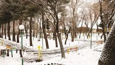 بارش‌ها برای جنوب البرز کافی نبود