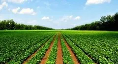 سیل ورود سرمایه با رفع تحریم‌ها