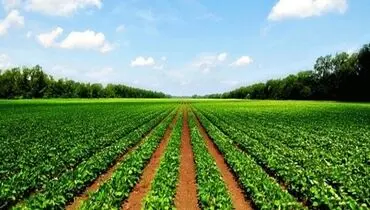 سیل ورود سرمایه با رفع تحریم‌ها