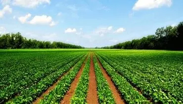 سیل ورود سرمایه با رفع تحریم‌ها