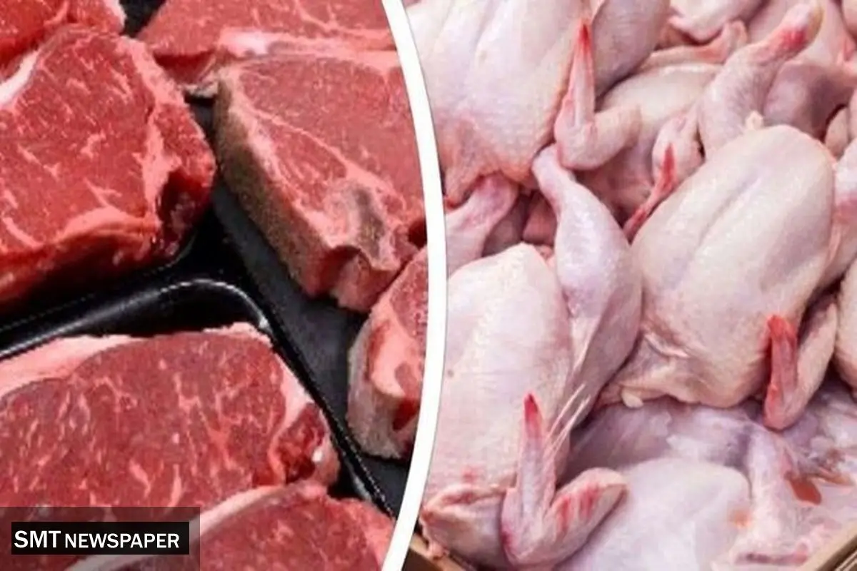 افزایش عرضه گوشت و مرغ/ فروش بیش از ۲۸۱ هزار تن در یک ماه