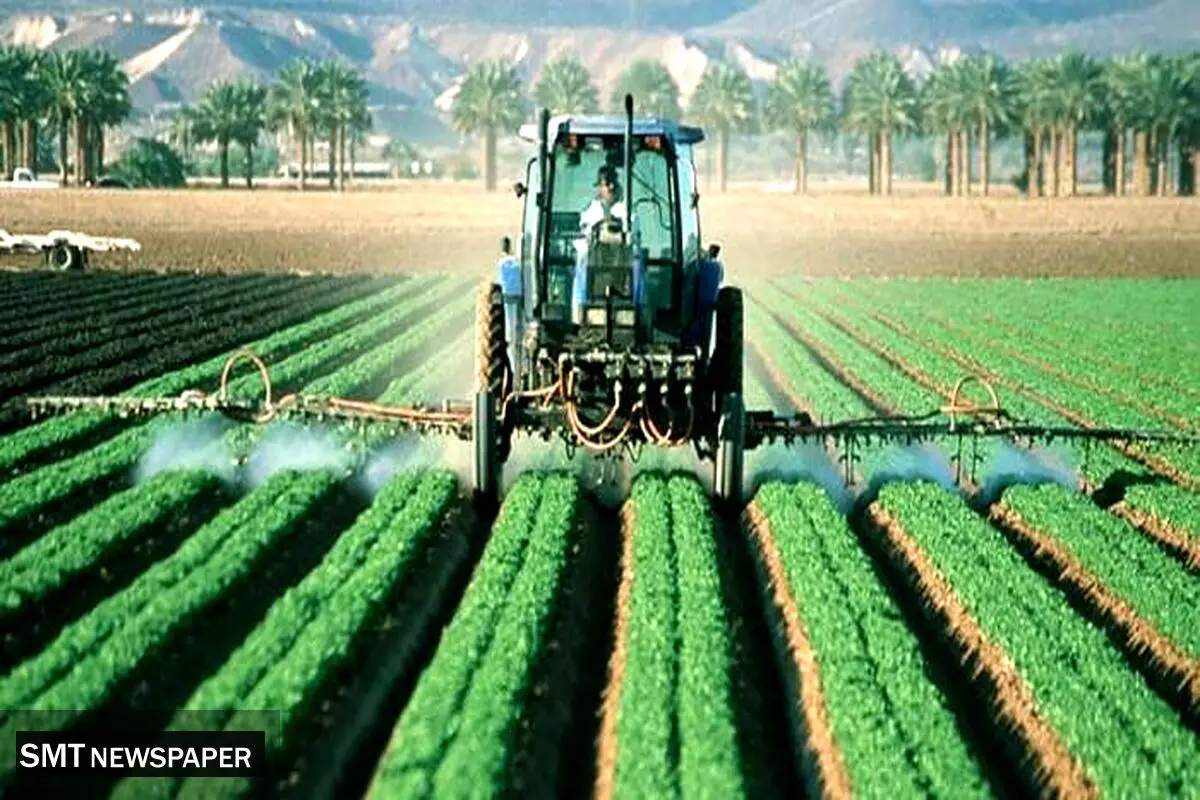 گندمکاران زیر چتر حمایتی دولت